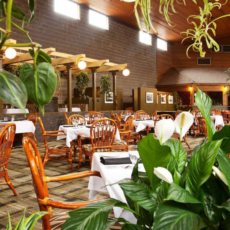 Best Western Plus Orangeville Inn Suites 9 768x768