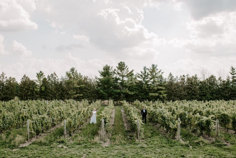 Dark Horse Estate Winery 6 768x513