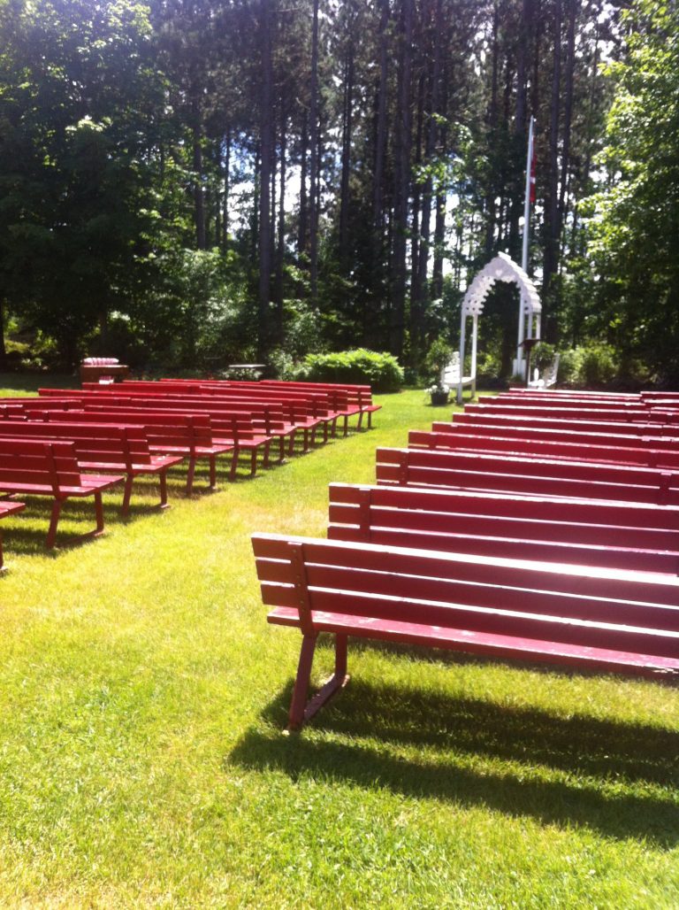 Drysdales Tree Farm 2 768x1028