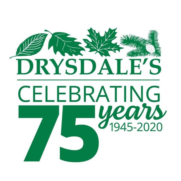 Drysdales Tree Farm logo 768x768