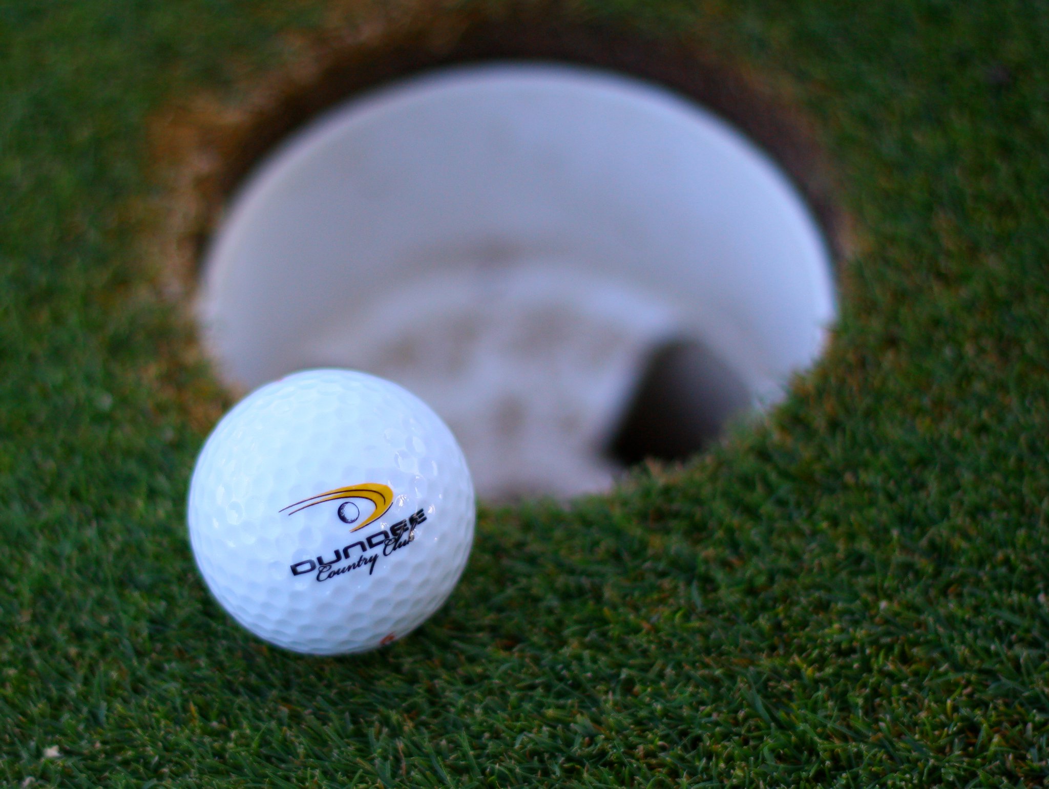 Dundee Country Club logo