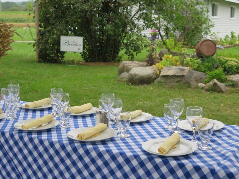 Georgian Hills Vineyard 5 768x576