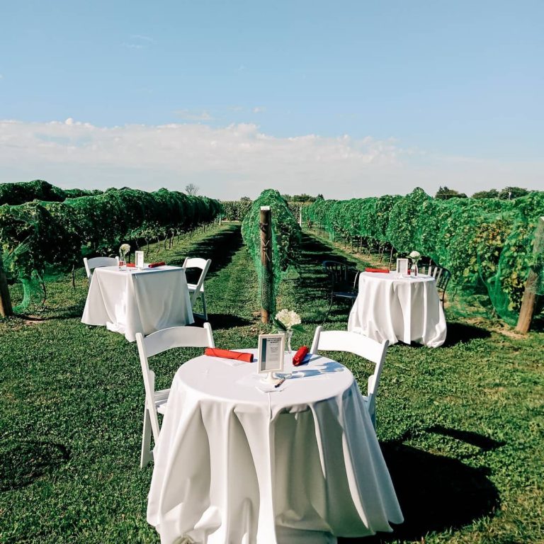 Hessenland Country Inn 4 768x768