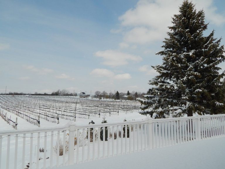 Hillier Creek Estates Winery 8 768x576