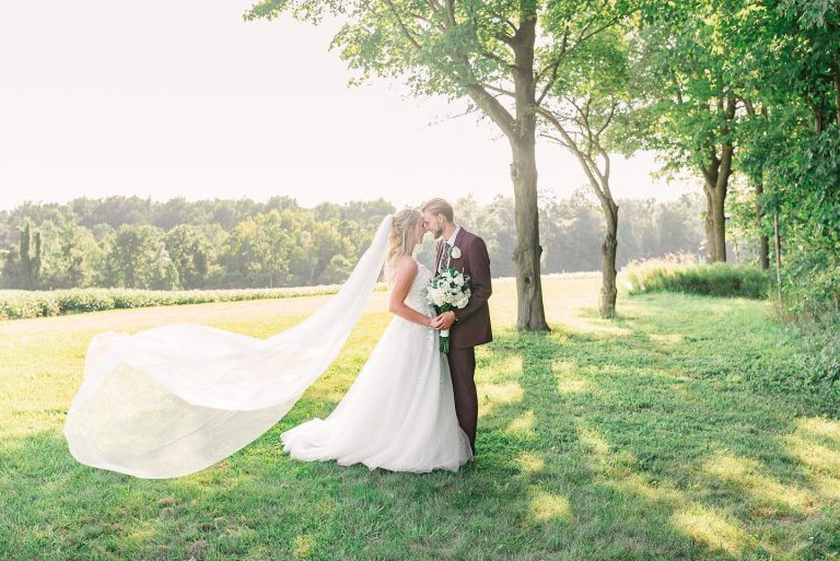 Knottingwood 2 768x513