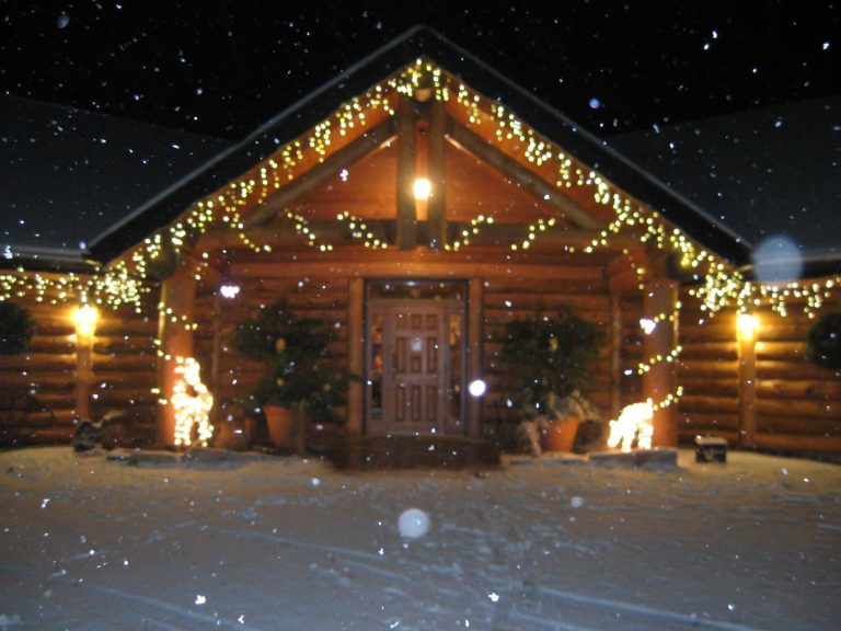 Log Cabin Inn 4 768x576