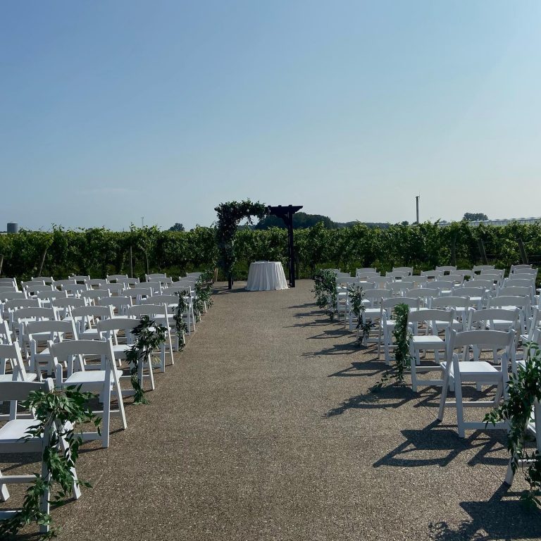 Mastronardi Estate Winery Vino Vista 8 768x768