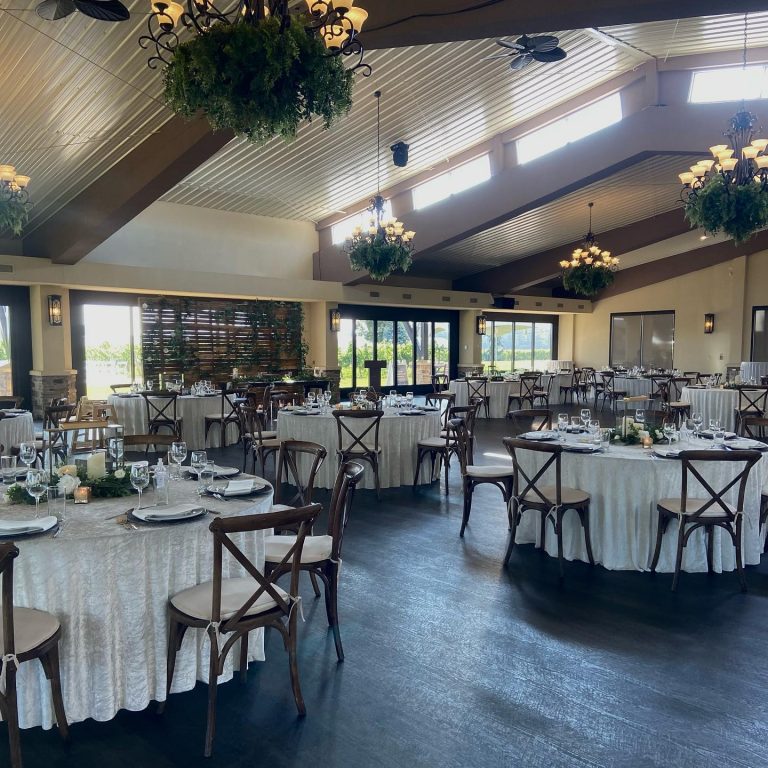 Mastronardi Estate Winery Vino Vista 9 768x768