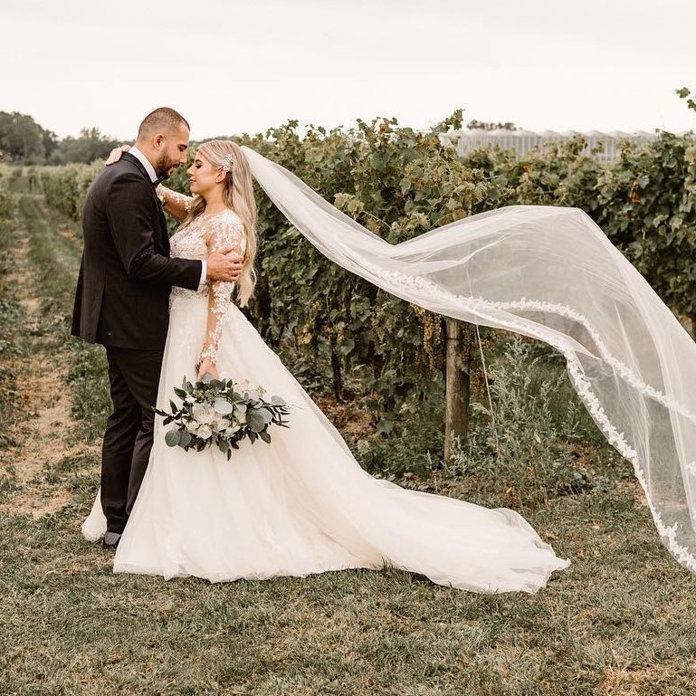 Mastronardi Estate Winery Vino Vista logo