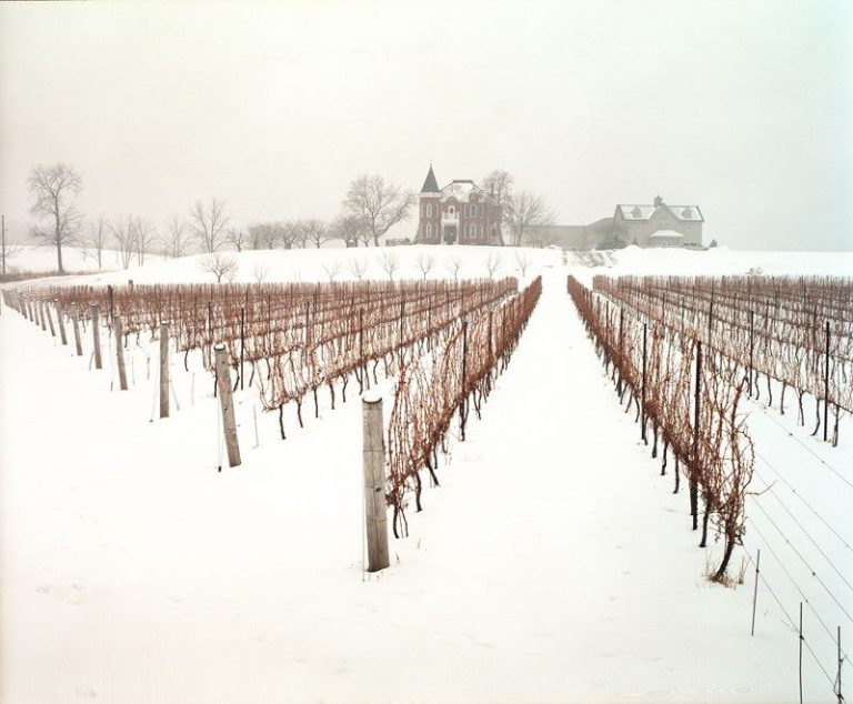 Peninsula Ridge Estates Winery 9 768x634