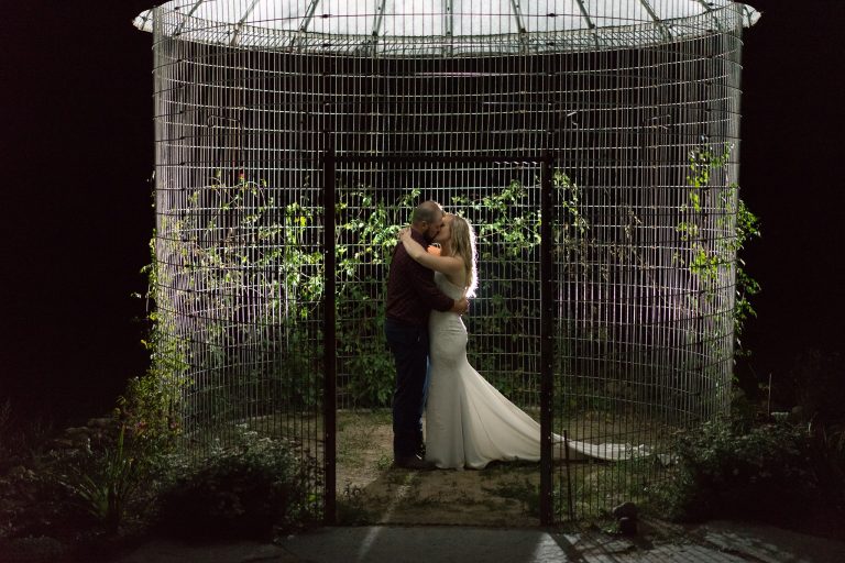 The Lavender Farm 3 768x512