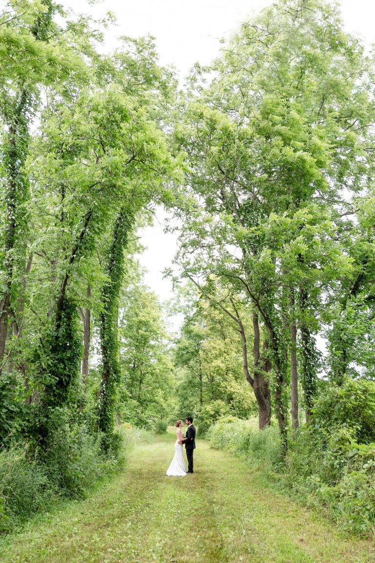 Julia Nathan Mount Brydges Farm Wedding Wide hero portrait under tree canopy 768x1152