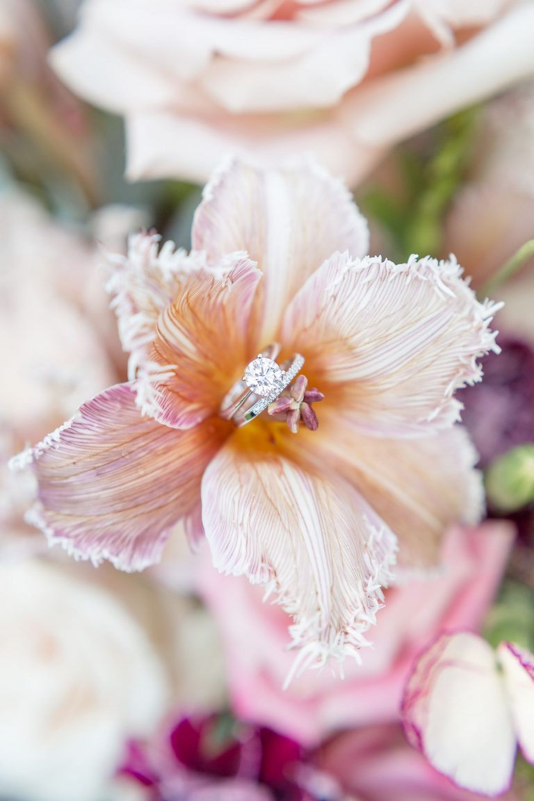 Zealand Portfolio Jan 2022 Sam   Dylan   Sandra Photography 31 768x1152