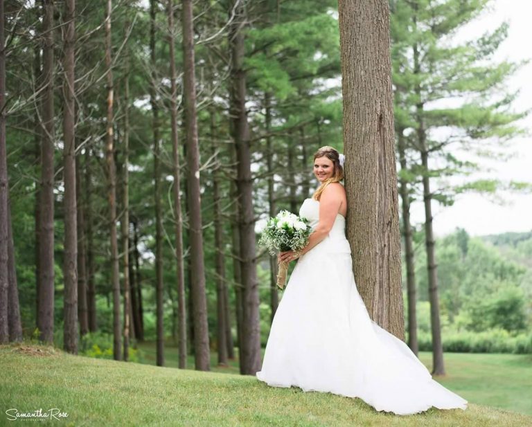 plus size wedding dress 768x617