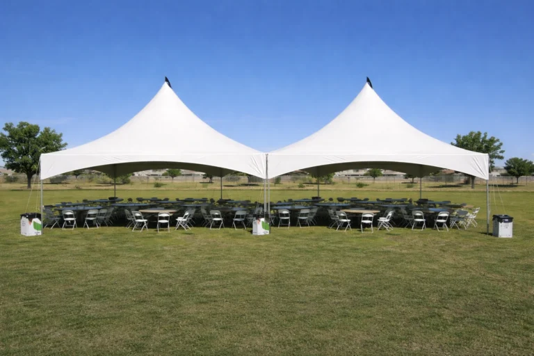 CnP 23032026 012531 768x512